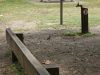 DSCF0673.JPG