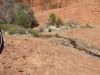 DSCF0793.JPG