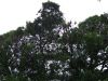 DSCF0996.JPG