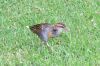 DSCF0999.JPG